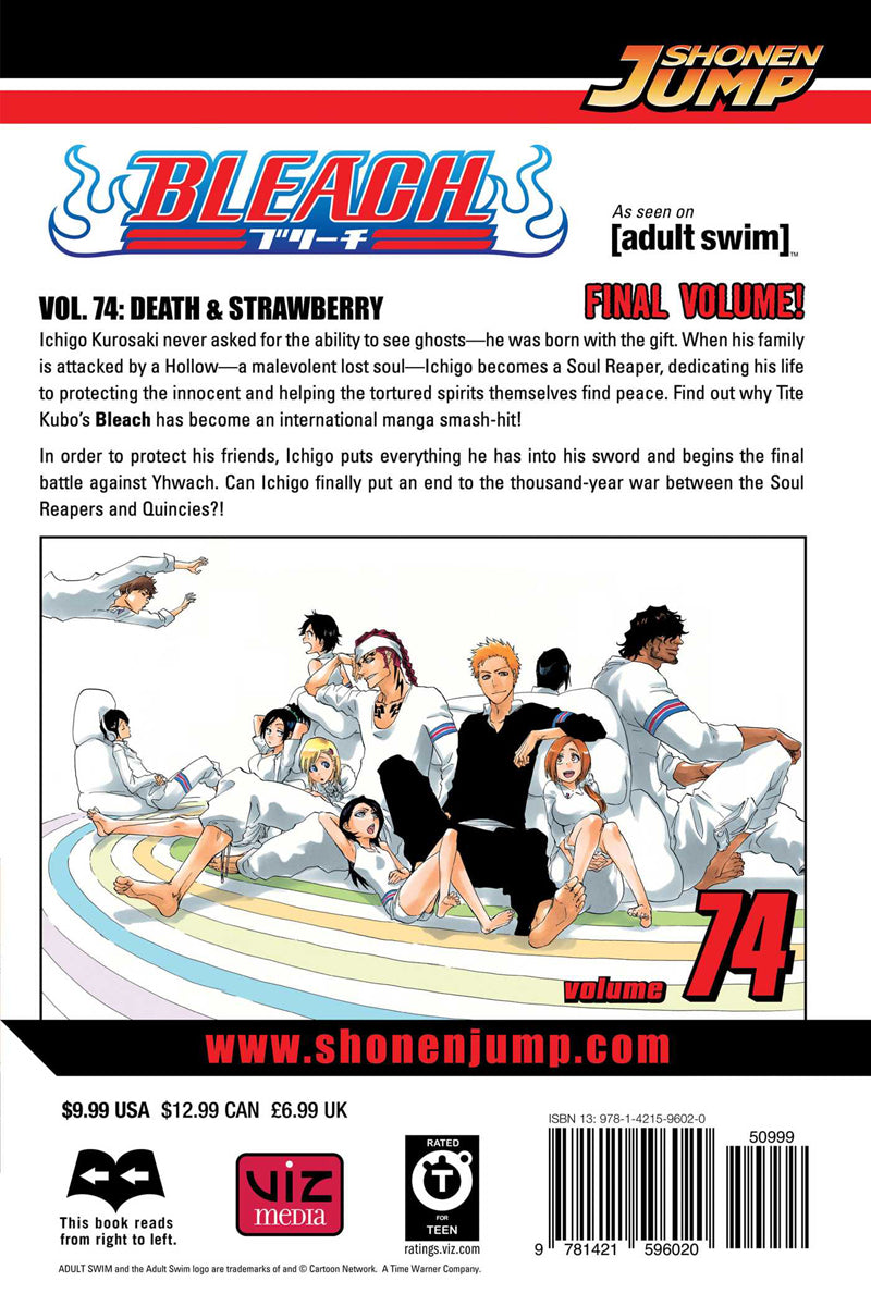 BLEACH Manga Volume 74
