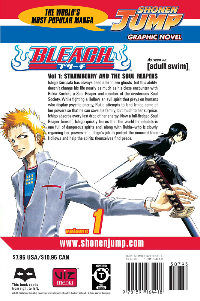 BLEACH Manga Volume 1