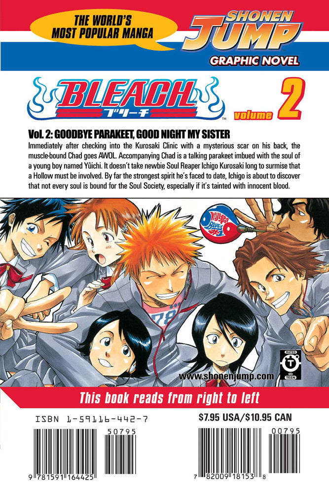 BLEACH Manga Volume 2