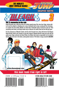 BLEACH Manga Volume 3