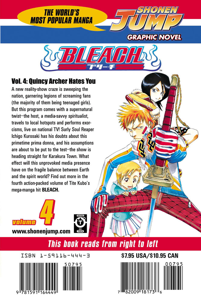 BLEACH Manga Volume 4