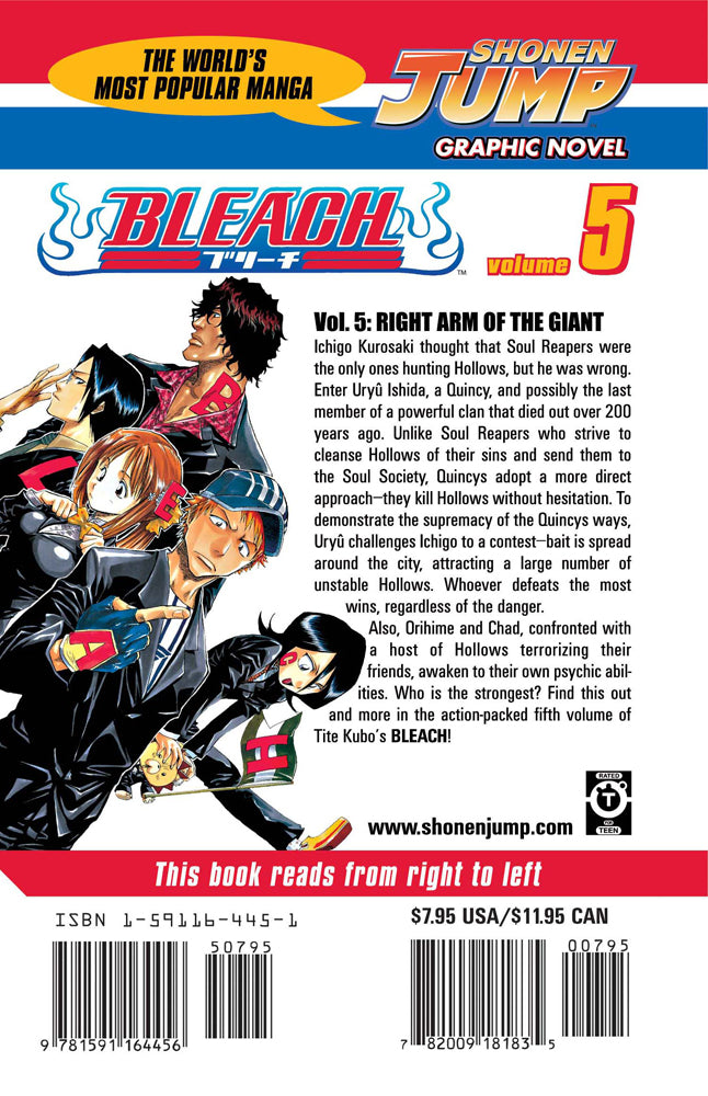 BLEACH Manga Volume 5