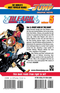 BLEACH Manga Volume 5