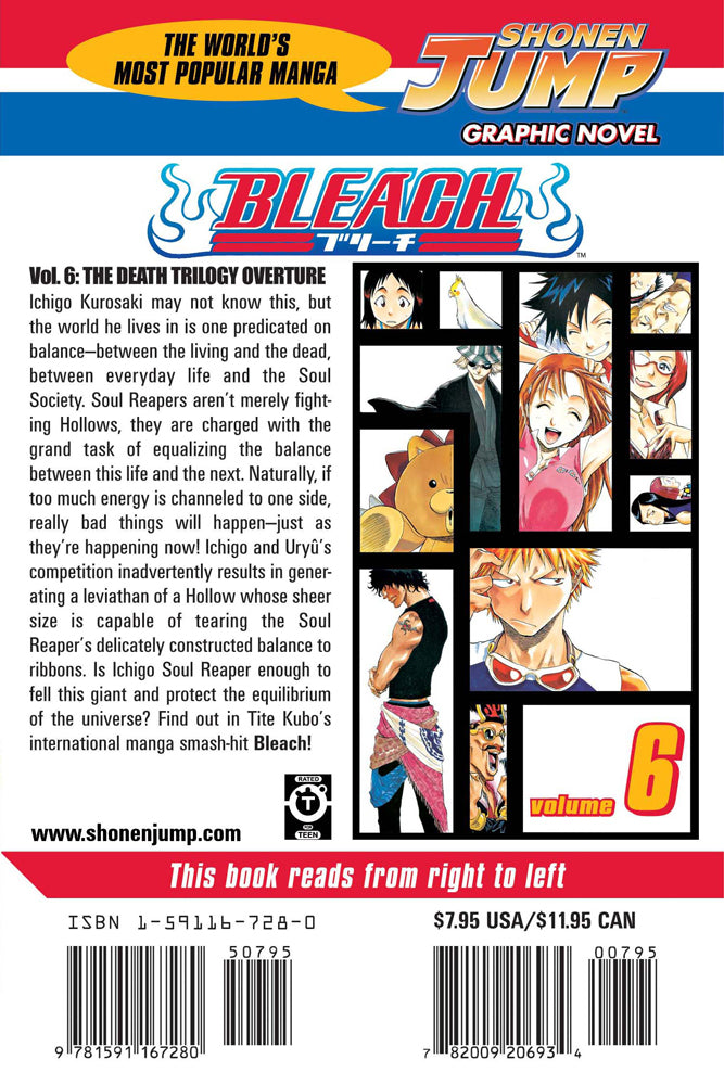 BLEACH Manga Volume 6