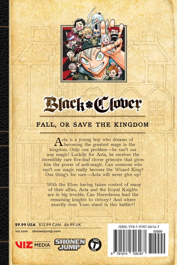 Black Clover Manga Volume 17