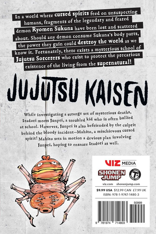 Jujutsu Kaisen Manga Volumes 4