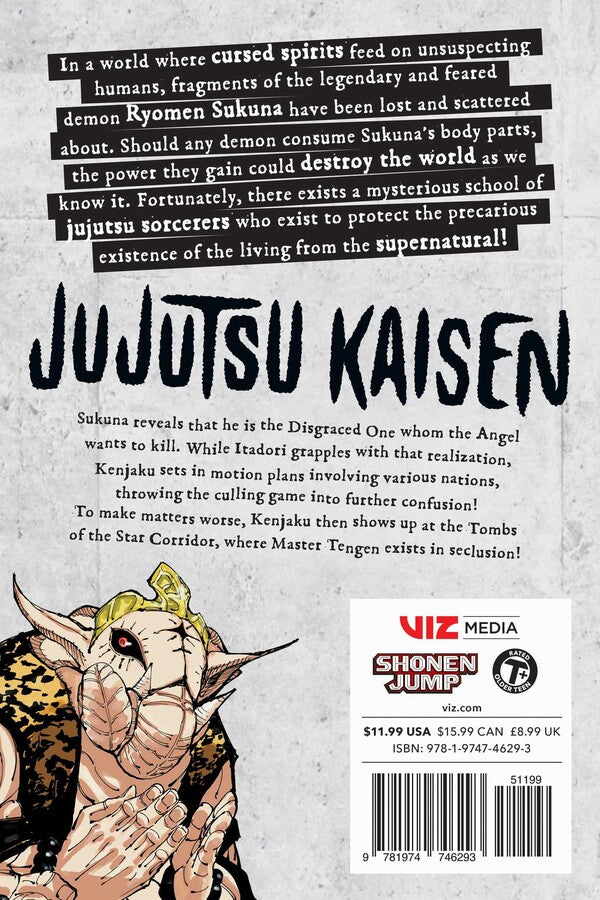 Jujutsu Kaisen Manga Volumes 23