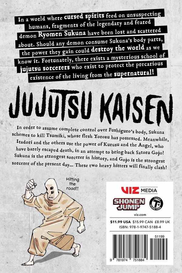 Jujutsu Kaisen Manga Volumes 25