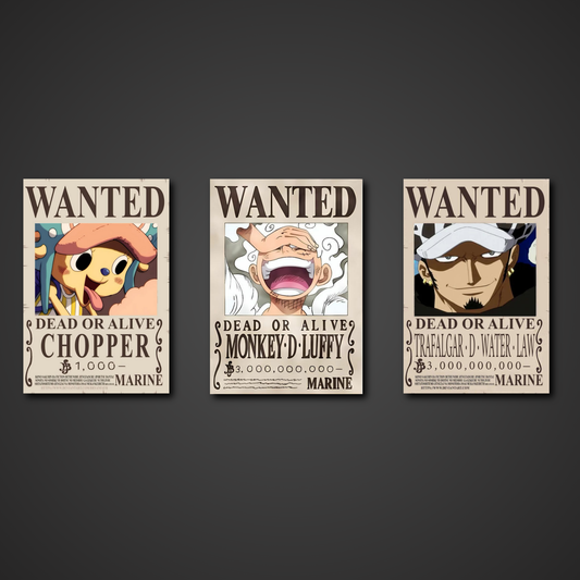 Wanted Posters Set 1 | One Piece