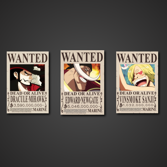 Wanted Posters Set 5 | One Piece